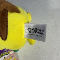 2022 Pokemon Valentines Pikachu With Flower Jazwares 8 Inch Plush, NWT