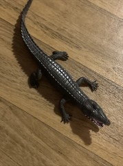 Alligator Crocodile Plastic Rubber Figure Fun Stuff Inc. 12″ Long