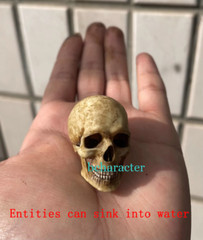 Skull Human Skeleton 1/6 PVC 3D Printed Model DIY Halloween Ornament Toys