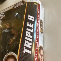 WWE Triple H Flashback Elite Series 23 Mattel Degeneration-X WWF- New