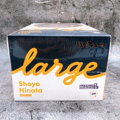 Nendoroid Large Haikyu!! Shoyo Hinata Smile Festival 2025 Good Smile Figure NEW