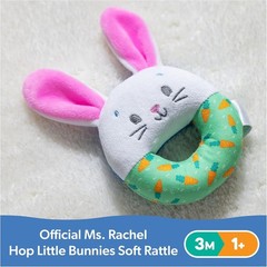 Hop Little Bunnies Sensory Rattle for Babies 3 and Up Tactile Stimulation