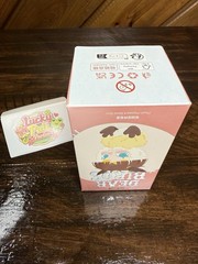 Popmart Dear Birds Series Plush – Confirmed TWINKLE TWINKLE Waiting In Snow