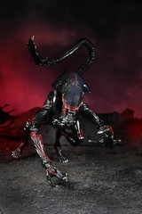 NECA.. 11 MONSTERS 30 Days of Night Vampire Aliens Frankenstein Etc NEVER OPENED