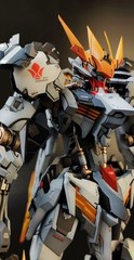 Wolf Technology 1/100 Barbatos Lupus Rex painted