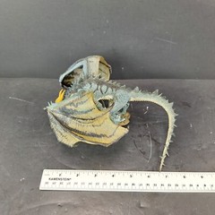 McFarlane Dragons Series 1 Quest for the Lost King Komodo Clan Figure 2005