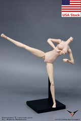 1/6 Female Pale Skin Flexible Joint Body Mid Bust for 12″Action Figure Model