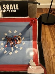 RARE Rocky Balboa Collector Ring. 1:1 Official Scale. Never Opened!