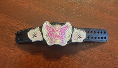 2014 WWE Mattel Elite Divas Championship Title Belt Accessory Butterfly Shiny