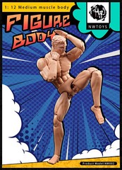 NwToys 1/12 Super Flexible Muscle Body Male Action Figure