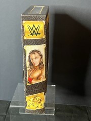 WWE ELITE DEFINING MOMENTS RINGSIDE EXCLUSIVE SHAWN MICHAELS MATTEL HBK