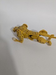 Cheetor Transformers Beast Wars 10th Anniversary Action Figure Complete