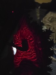 X-Plus 30cm Yuji Sakai Godzilla 2016 Shin Godzilla Shonen Ric Edition