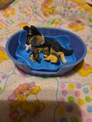 Vintage 1990s Puppy In My Pocket Collie Dog Family Bella Mom & 2 Puppies Dogs