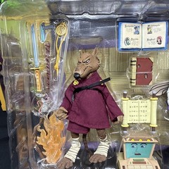 NECA Teenage Mutant Ninja Turtles Splinter & Baxter Action Figure 2 PK Complete