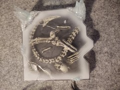 AMON: APOCALYPSE OF DEVILMAN Saylos Celos Figure Skeleton Base Fewture 2000