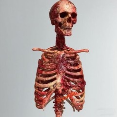 1/6 Scale Human Beings Skeleton Resin Model for 12″ Action Figure Accessory Toys