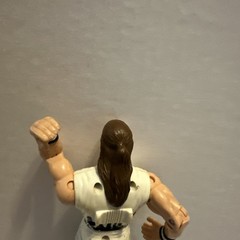 ECW OSFTM Super Nova Bash of the Brawlers Vintage VTG Wrestling Figure WWF WWE