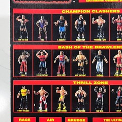 Sandman ECW Bash of the Brawlers Figure Signed Series 5 OSFTM 2000 MOC WWF WWE