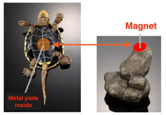 The Diversity of Life on Earth Advance Turtle 02 w/ Display Stand Bandai Online