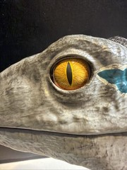 JURASSIC WORLD Baby Blue Dinosaur Animatronic Hand Puppet – Real FX Wow Stuff