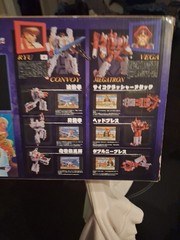 Street Fighter IIX Transformers Convoy RYU VS Megatron Vega 35th anniversary
