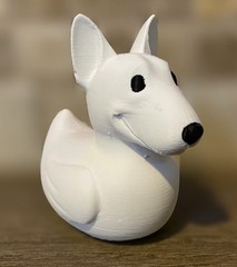 Bull Terrier Duck