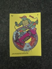 Teenage Mutant Ninja Turtles 11 Sticker Lot, 5 Sticker Card, 4 Mirage Stickers