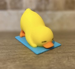 Yoga Duck – Downward Duck – Ducking – Cruises – Collectibles