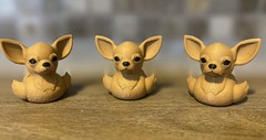 Chihuahua Duck