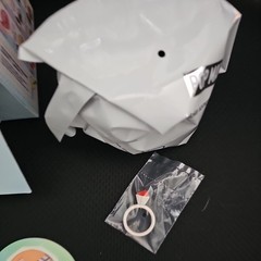 POP MART – Romantic Ring Box Series , Confirmed- ZSIGA HOME SWEET HARBOR