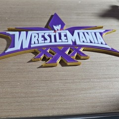 WWE Mattel WrestleMania 30 Logo Accessory