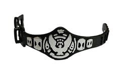 WWF Hasbro Winged Eagle World Heavyweight Belt Accessory Titan Sports. (1989)