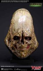 Coolprops Alien Xenomorph 1/1 Life size Bust Statue Figure Resin Collectible
