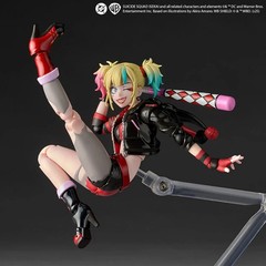 Kaiyodo Revoltech Amazing Yamaguchi Harley Quinn Suicide Squad ISEKAI Ver.&Bonus