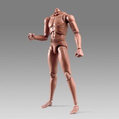 12″ Flexible Muscle Male Action Figure – 1:6 Scale Europe Skin Body Doll, No Hea