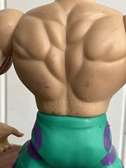 Mattel WWE Masters of the WWE Universe Jake the Snake Roberts