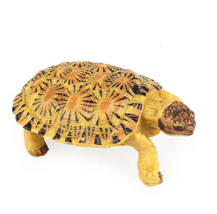 Pancake Tortoise Toy Action Figure Small Animal Figurine Doll Gift for Kids