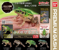 Black-spotted Pond Frog Figure Set of 4 Bandai Creature Encyclopedia Capsule Toy