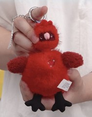 Authentic Dear Birds Series Plush Pendant Blind Box Figure Toy Fragrance Doll！
