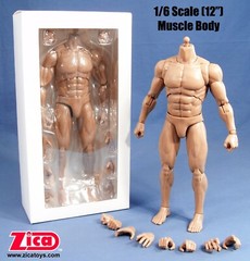 ZICA Toys 1/6 Scale (12′) Male Muscle Body