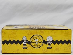 Charlie Brown Then and Now Figure Set 2010 Dark Horse Comics Peanuts 60 Years