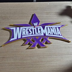 WWE Mattel WrestleMania 30 Logo Accessory