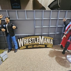 WWE Mattel WrestleMania 39 Goes Hollywood 2023 8 X 3 Logo Accessory