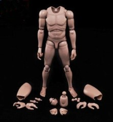 12inch MX02-A Europe Skin Male Action Figure Body Fit For 1/6 Head Sculpt Toys