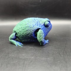 Rain Frog Articulated Figure 3D Printed Collectable Multi Color