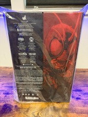 Kamen Rider Black Sun (Battle Damaged) TMS Fully Poseable Exclusive Hot Toys