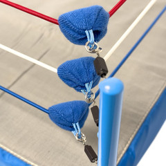 Ultimate Classic Wrestling Ring for Action Figures and Collectibles