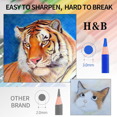 120 Colored Soft-core Coloring Pencils Set, Coloring Book and Portable Storage B