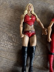 Wwe Women’s Wrestling Figure Lot. Sasha, Becky Lynch, Charlotte Flair, Bailey